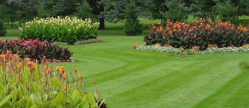 Best Lawn Gadgets For Great Lawns